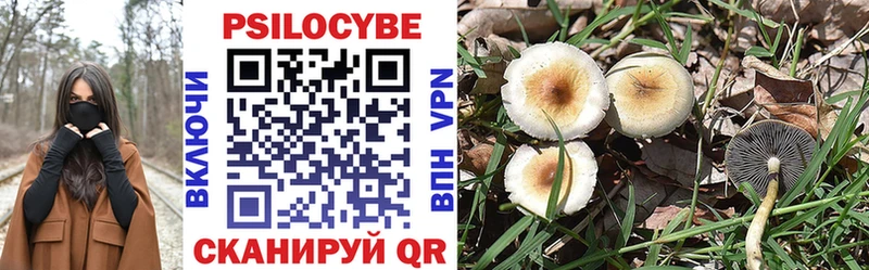 Купить  Белая Холуница  Псилоцибиновые грибы ЛСД 
